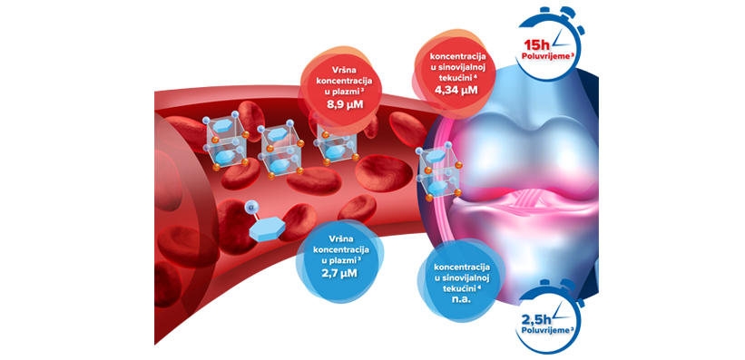 Način djelovanja lijeka Arthryl®