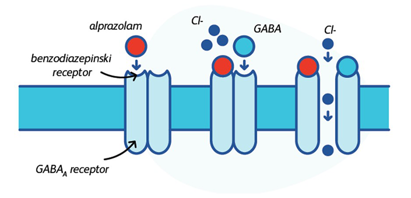 Način djelovanja lijeka Xanax